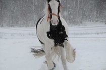 © Saara Hakonen