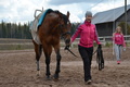 © Eeva Jaakonmäki.