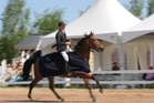 Markus Backlund Salossa, kuva hattelhorse.fi