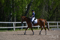 © Maj Kauramäki