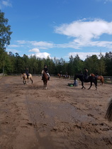 Kuva Milja Koskela