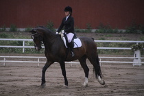 Jenni Ek - Biko (rekisterinimi Igo Drosmigais), 
© Rondy Stenman / Teresa Pollari