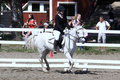 © Maija Virtanen & Tuula Falenius