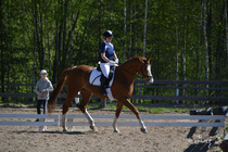 © Maj Kauramäki