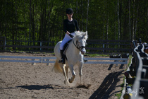 © Maj Kauramäki