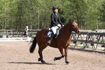 Essi Kemppainen - Hugo
© Anna K