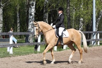 Rondy Stenman - Hovihar
© Anna K