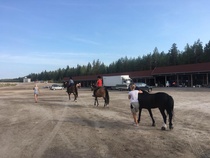 © Tia Mutikainen