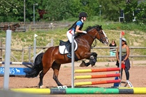 Kuva Primus / Emilia Alamäki